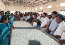 கோழிப்பண்ணை தொழில் வளர்ச்சி போல் பட்டு வளர்ப்பு துறையிலும் நாமக்கல் மாவட்டம் வளர்ச்சி பெரும் – ராசிபுரம் பகுதியில் ரூ.2.20 கோடி மதிப்பில் பட்டு கூடு ஏலம் மையம் திறப்பு விழாவில் கே.ஆர்.என்.ராஜேஸ்குமார் எம்பி., பெருமிதம்